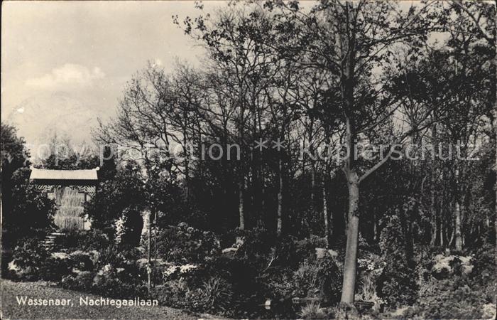 Wassenaar Nachtegaallaan
