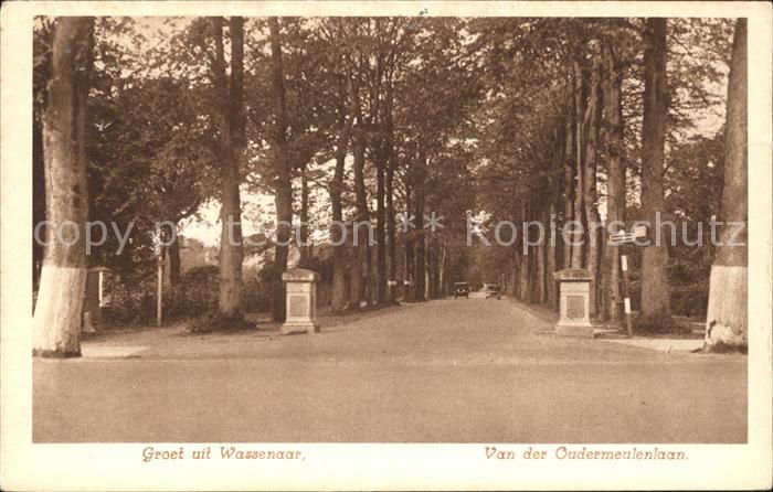 Wassenaar Van der Oudermeulenlaan