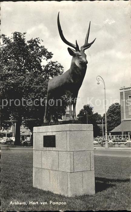 Arnhem Hert Pompon