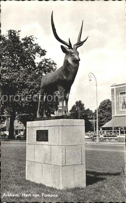 Arnhem Hert Pompon