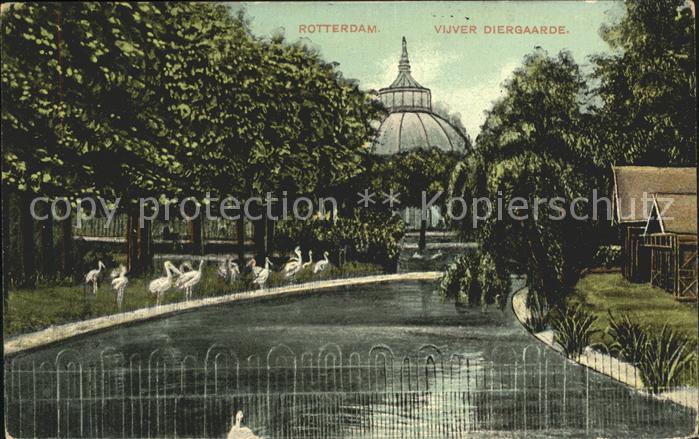 Rotterdam Vijver Diergaarde