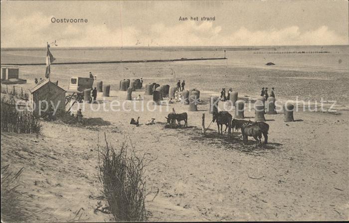 Oostvoorne Niederlande Aan het strand