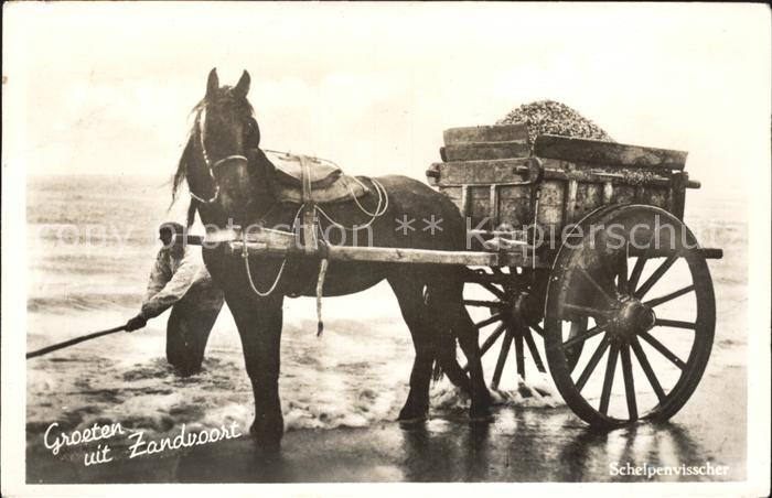 Zandvoort Holland Schelpenvisscher Pferdekarren