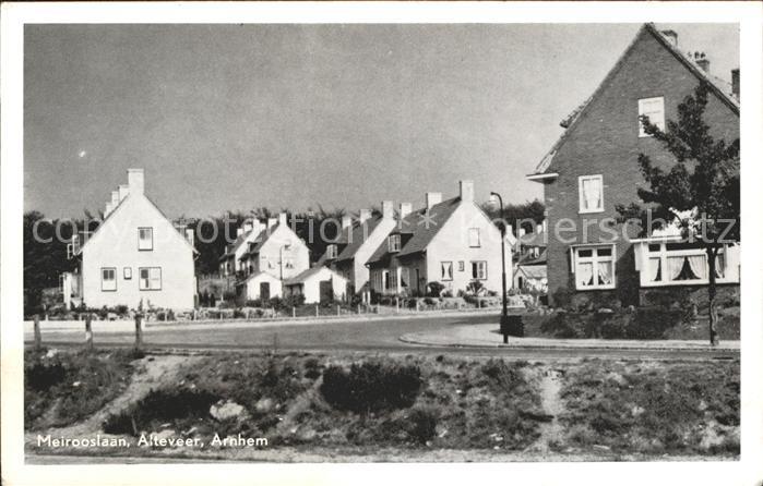 Alteveer Meirooslaan