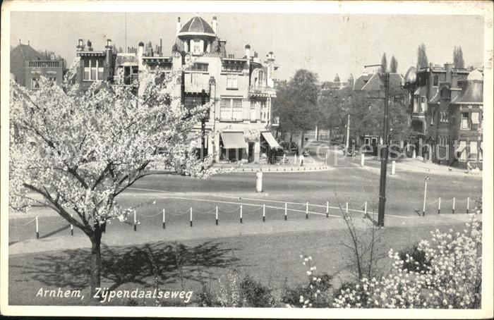 Arnhem Zijpendaalseweg Baumbluete
