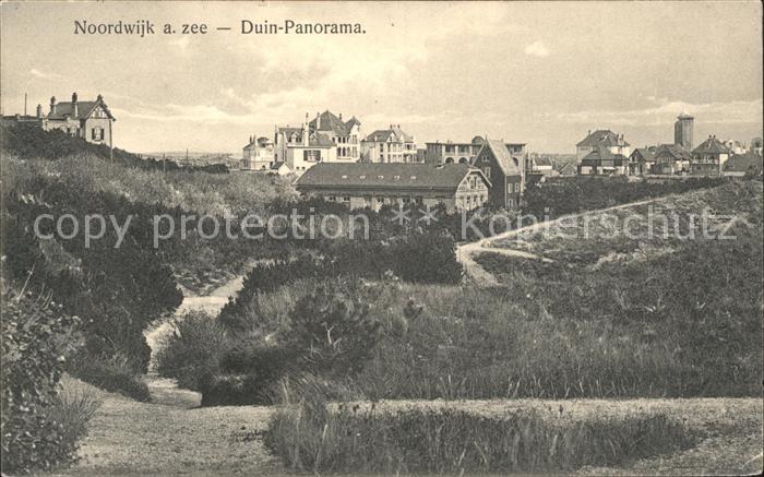 Noordwijk aan Zee  Duin Panorama