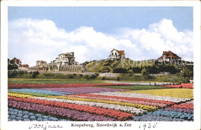 Noordwijk aan Zee  Koepelweg Blumenfeld