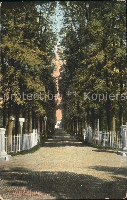 Arnhem Laan Marieendal Baumallee