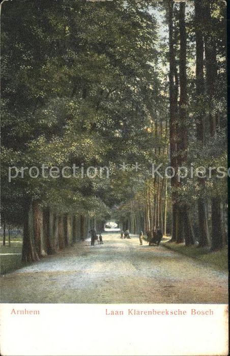 Arnhem Laan Klarenbeeksche Bosch Baumallee