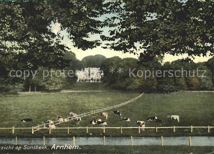Arnhem Gezicht op Kasteel Sonsbeek Weide Kuehe Schloss