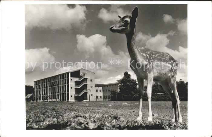 Arnhem Irene Kinderziekenhuis Krankenhaus Rehkitz