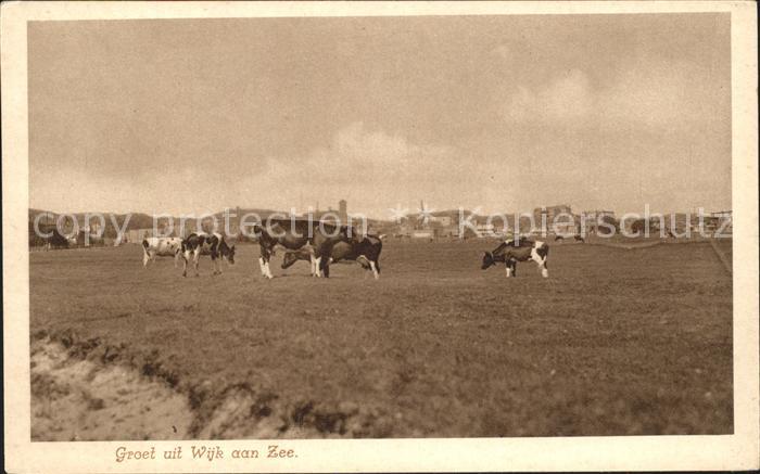 Wijk aan Zee Kuehe