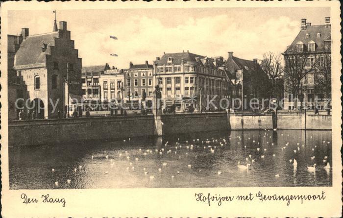 Den Haag Hofvijver met Gevangenpoort Enten