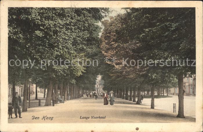 Den Haag Lange Voorhout Baumallee