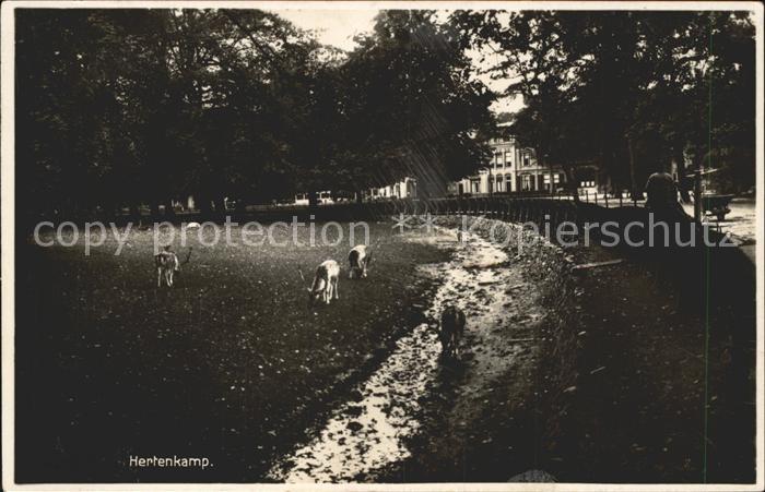 Den Haag Hertenkamp Tierpark