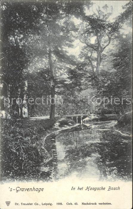 s-Gravenhage Haagsche Bosch