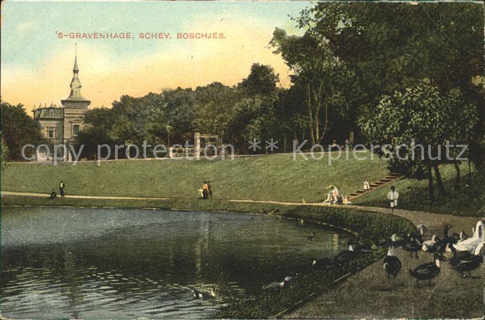 s-Gravenhage Scheveningsche Boschjes Schwan Enten