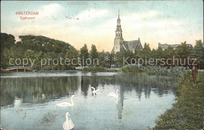 Amsterdam Niederlande Oosterpark Schwanenteich