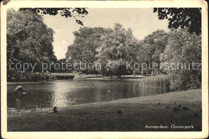 Amsterdam Niederlande Oosterpark