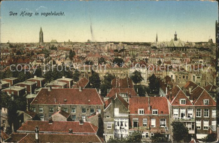 Den Haag in vogelvlucht