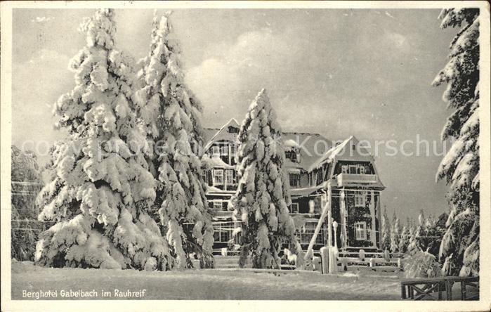Ilmenau Thueringen Berghotel Gabelbach im Rauhreif