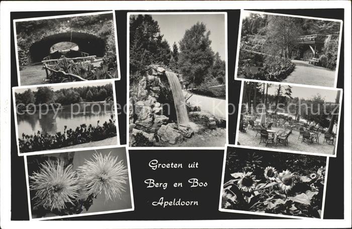 Apeldoorn Berg en Bos