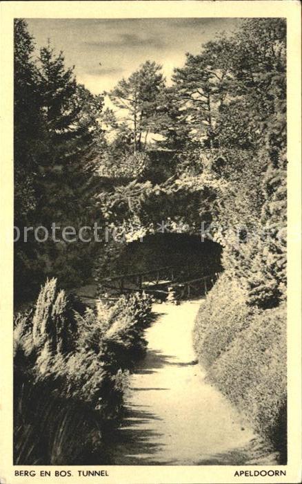 Apeldoorn Berg on Bos Tunnel