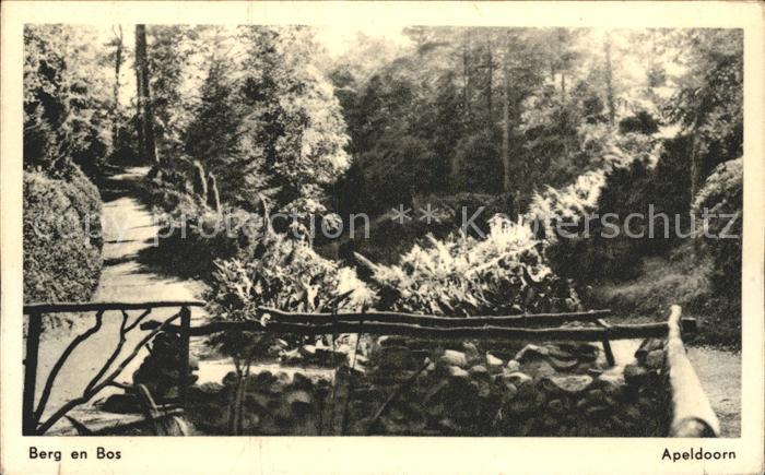 Apeldoorn Berg en Bos