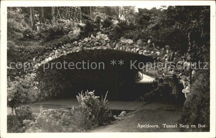 Apeldoorn Tunnel Berg en Bos