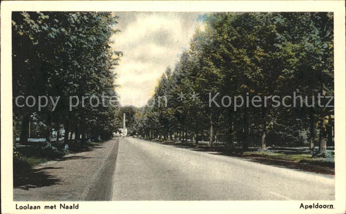 Apeldoorn Loolaan met Naald