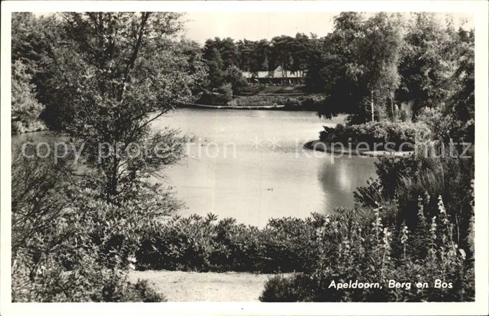 Apeldoorn Berg on Bos