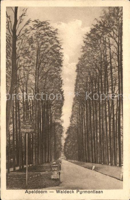 Apeldoorn Waldeck Pyrmontlaan