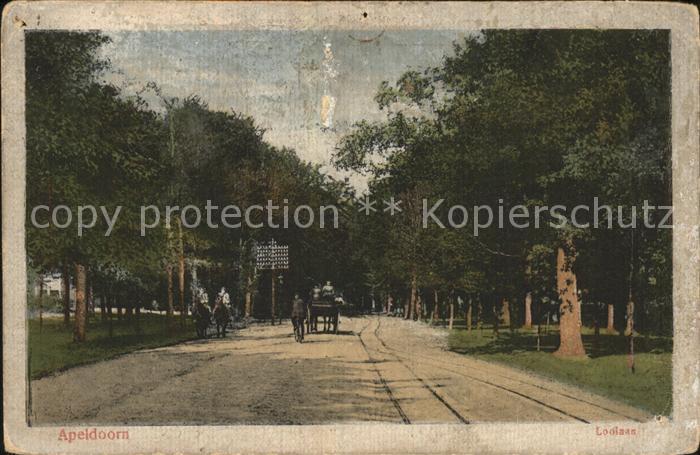 Apeldoorn Loolaas Pferdekutsche