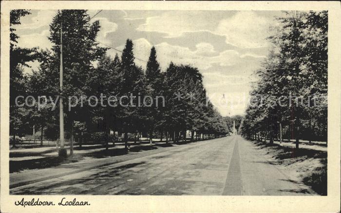 Apeldoorn Loolaan