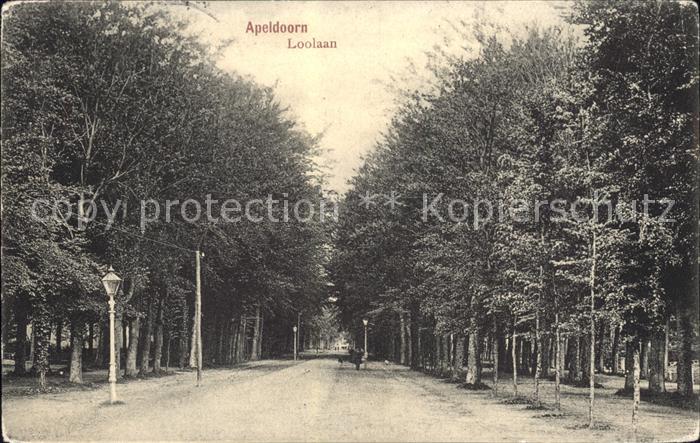 Apeldoorn Loolaan