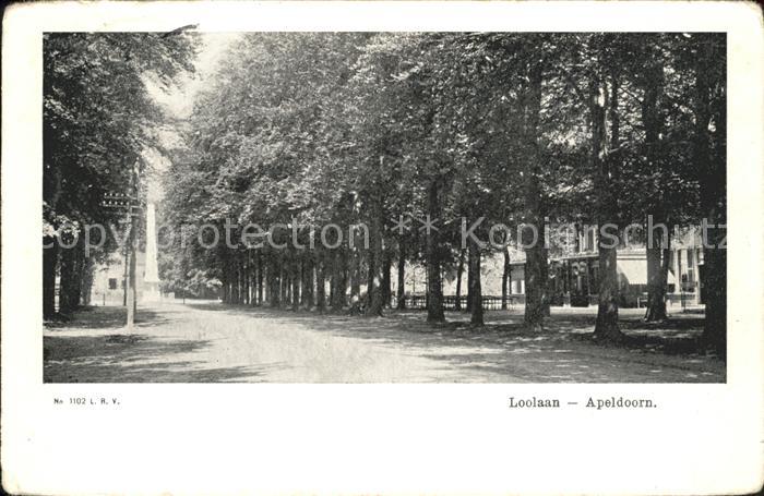 Apeldoorn Loolaan