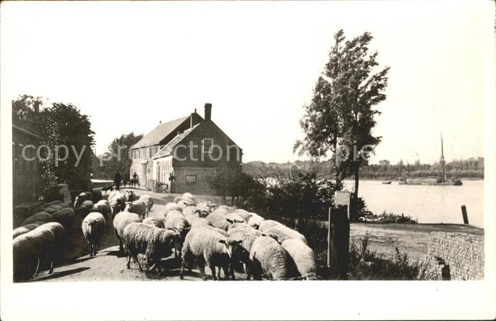 Dordrecht Gravendeelse Veer