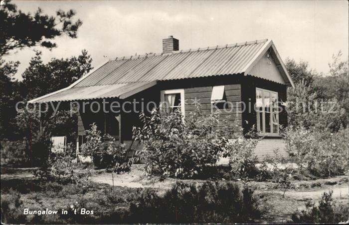 Beekbergen Bungalow Bos