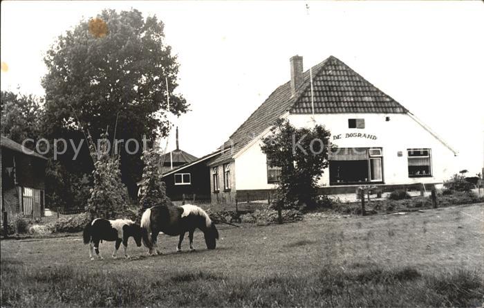 Beekbergen Kampeerboerderij Da Bosrand