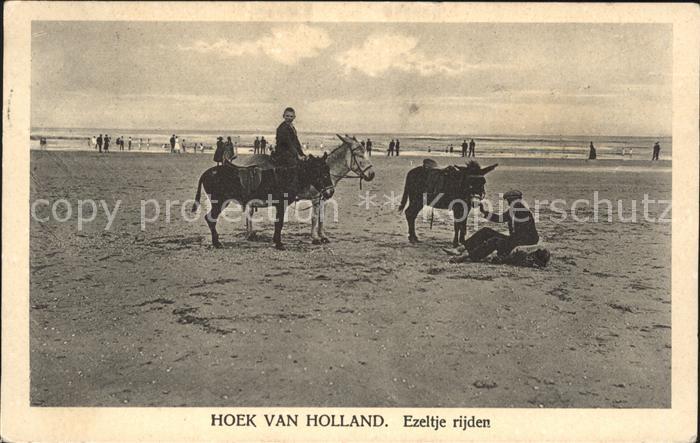 Hoek van Holland Ezeltje rijden