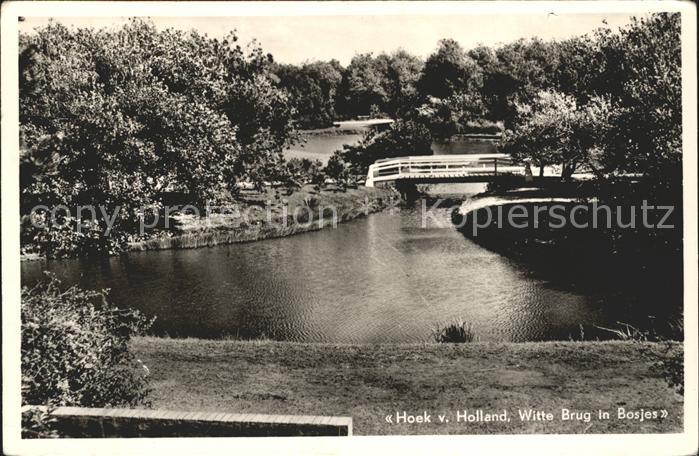 Hoek van Holland Witte Brug Bosjes