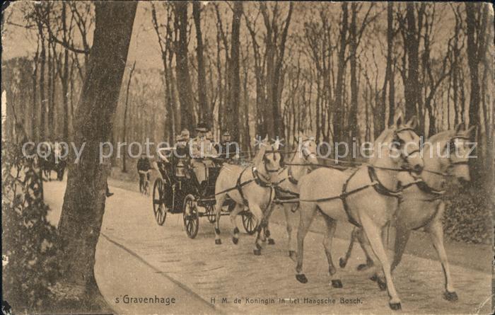 s-Gravenhage Koningin Haagsche Bosch