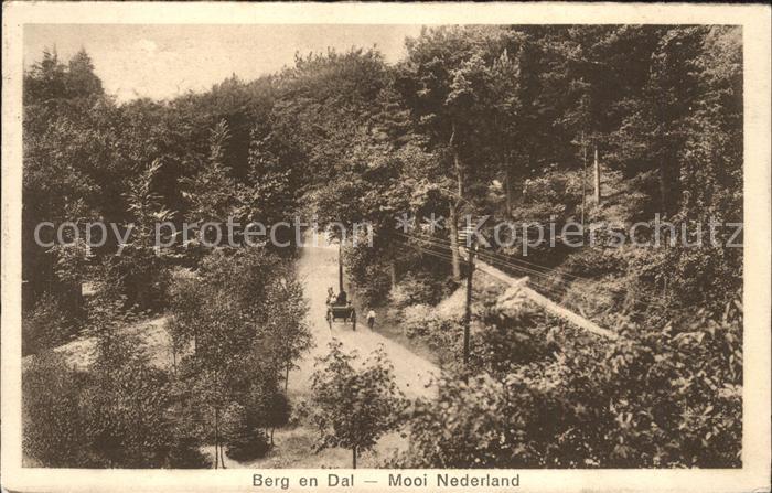 Berg en Dal Pferdekutsche