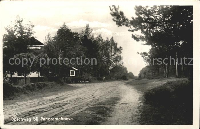 Bennekom Boschweg Panoramahoeve