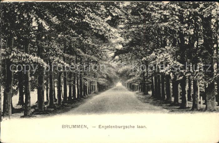 Brummen Engelenburgsche laan