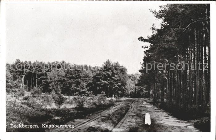 Beekbergen Kaapbergweg