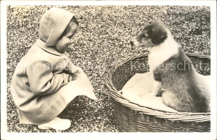 Adel Niederlande Prinzessin Marijke Hund