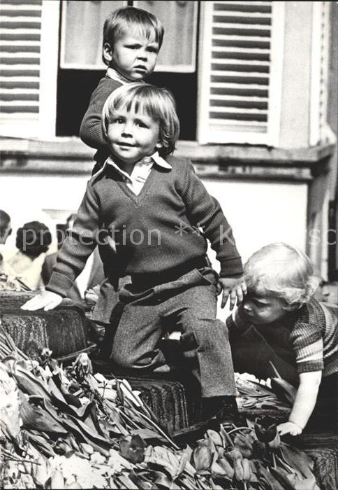 Adel Niederlande Prinzen