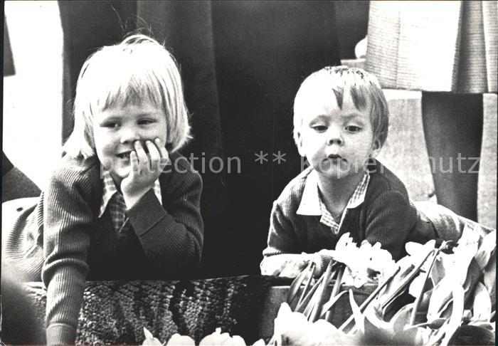 Adel Niederlande Prinzen