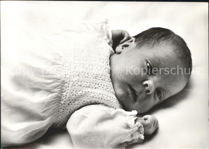 Adel Niederlande Prinz Constantijn